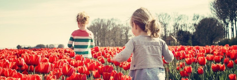 Psy Strasbourg Psychologue Bas Rhin enfants anorexie énurésie boulimie terreurs nocturnes angoisses colères haut potentiel intellectuel