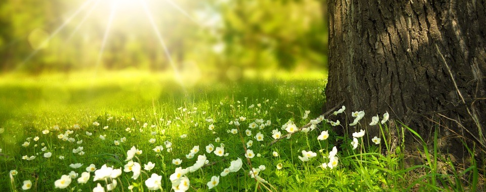 Psychologue Strasbourg Obernai Psy Psychothérapeute enfants boulimie troubles alimentaires énurésie angoisses surdoués HPI estime de soi dépression angoisses TDAH TCC